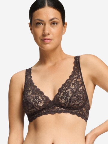Hanro Bralette Bra 'Moments' in Brown
