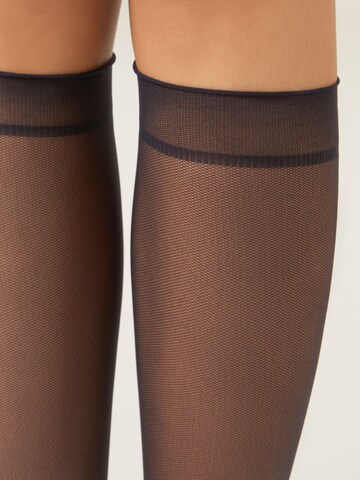 CALZEDONIA Socken 'Sheer' in Schwarz