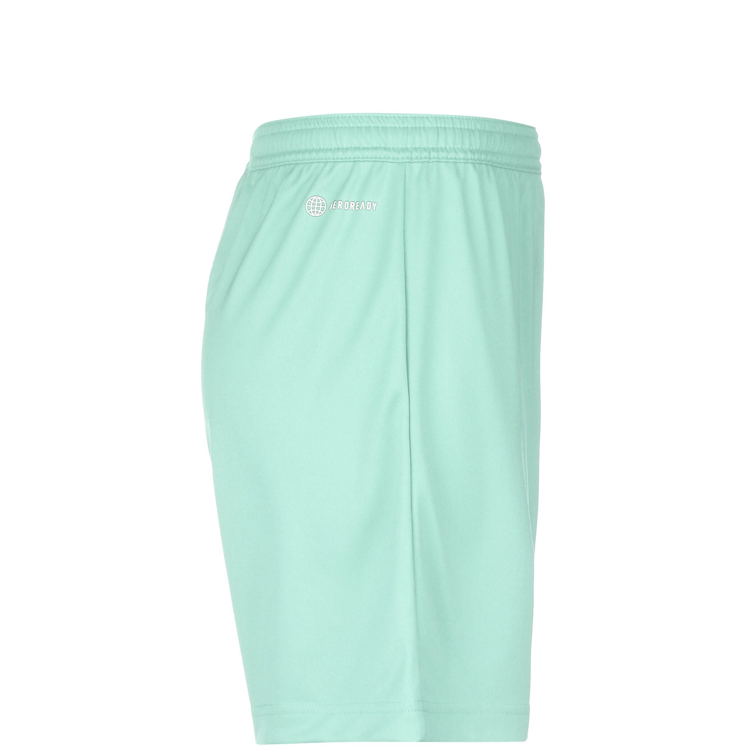 ADIDAS PERFORMANCE Regular Workout Pants 'Entrada 22' in Green