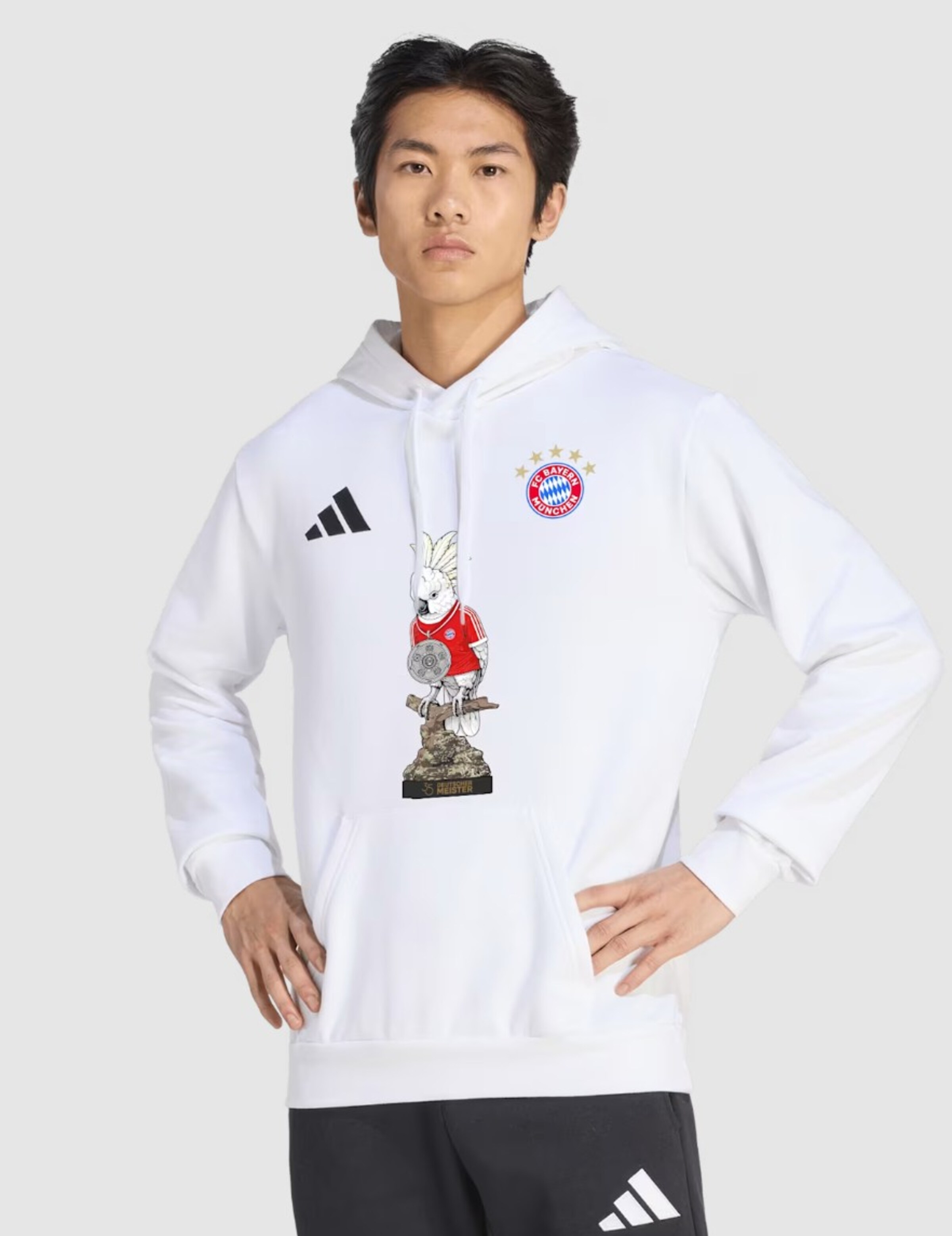 ADIDAS PERFORMANCE Sweatshirt in White: front