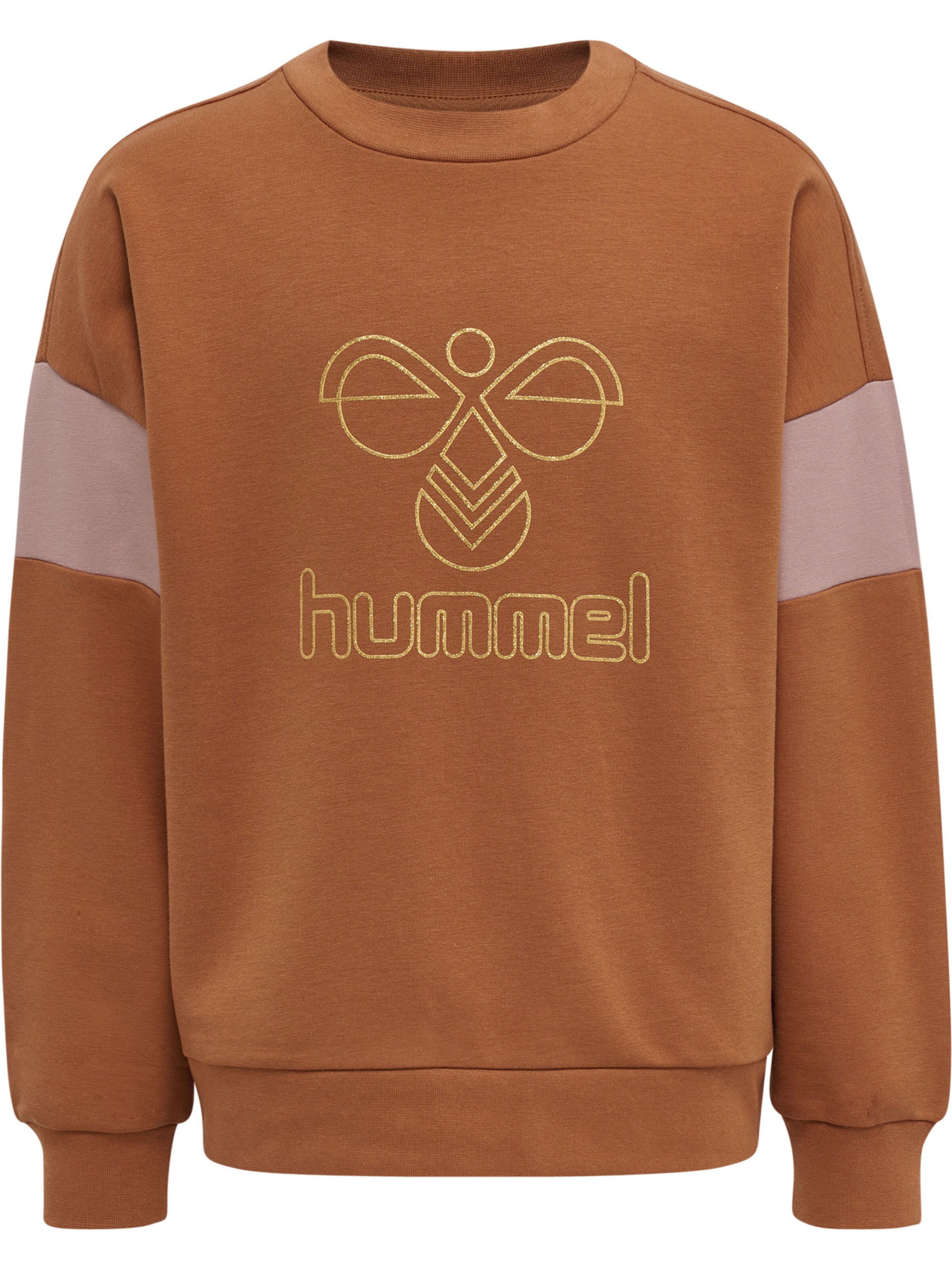 Hummel Sweatshirt in Brown: front