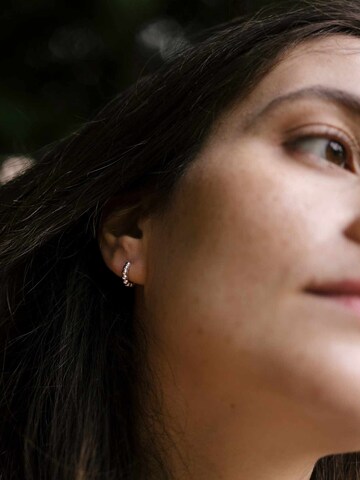fejn Earrings in Gold