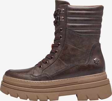 Bottines à lacets MARCO TOZZI by GUIDO MARIA KRETSCHMER en marron : devant