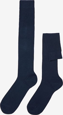 CALZEDONIA Socks in Blue: front