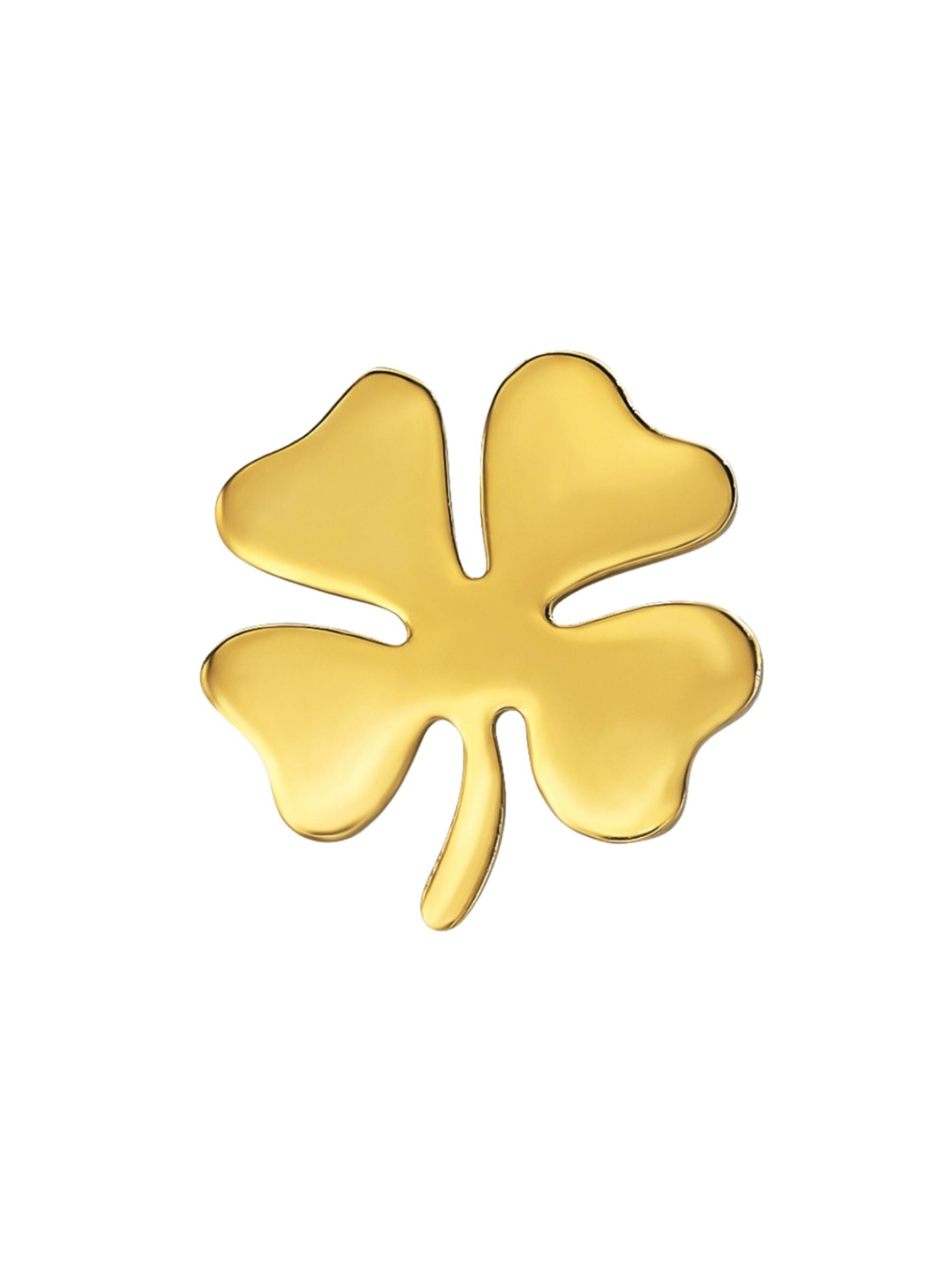 Maxte Earrings in Gold