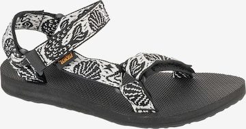 TEVA Sandals in Black: front