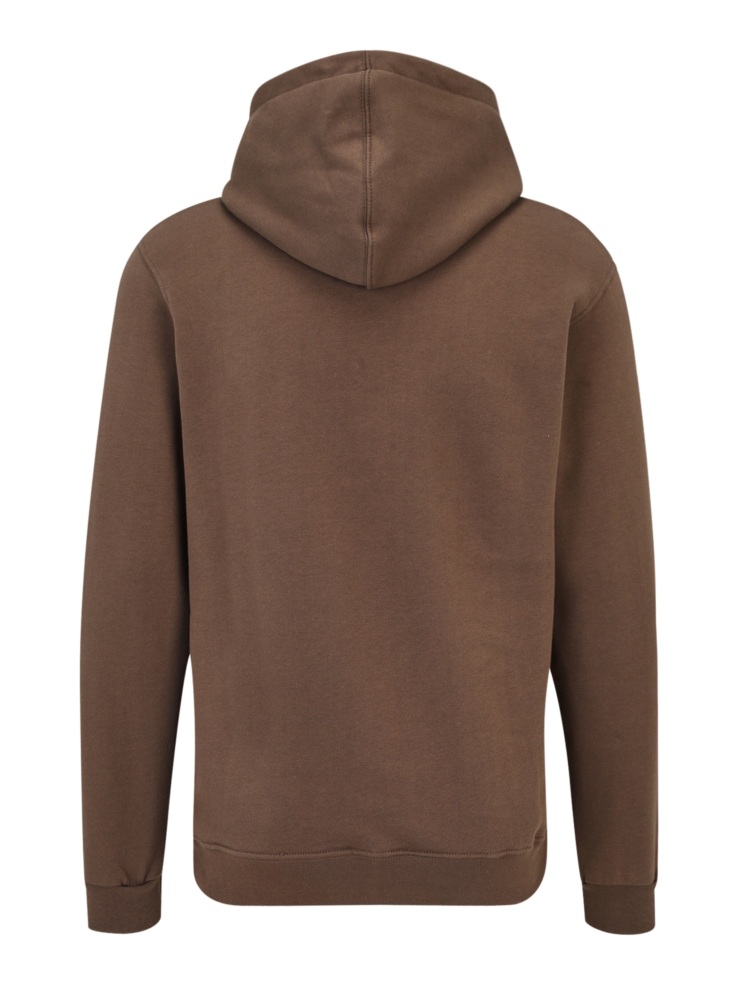 Iriedaily Regular fit Sweatshirt in Bruin