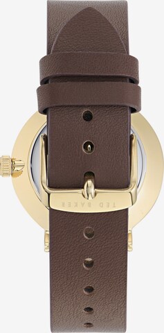 Ted Baker Analog Watch 'Phylipa Gents Timeless' in Brown