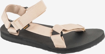 Sandales de randonnée 'Original Universal' TEVA en beige : devant