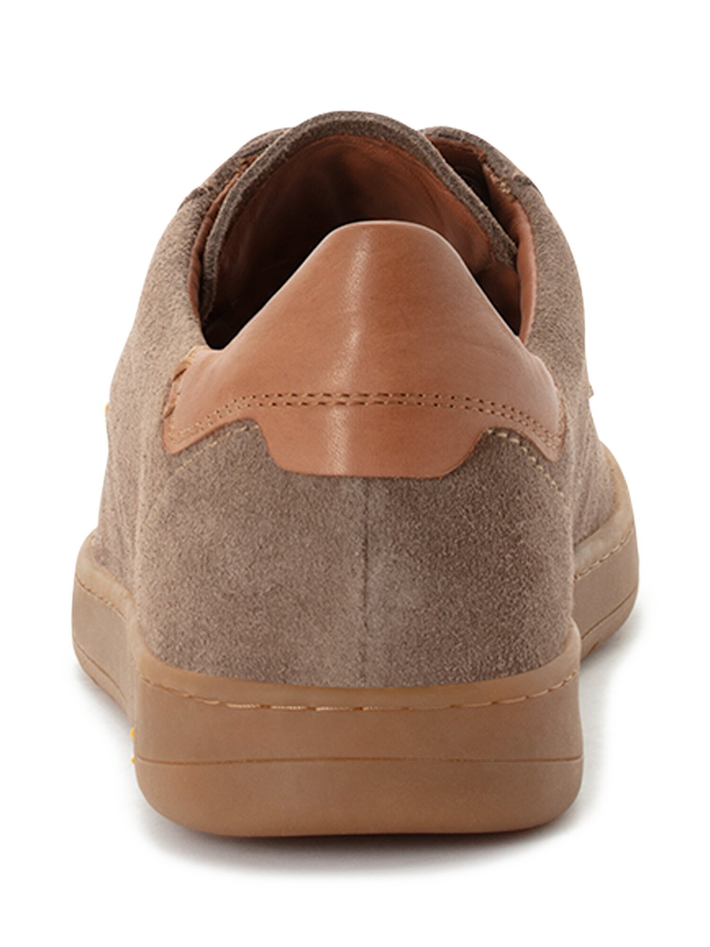 CAMEL ACTIVE Sneaker low in Braun