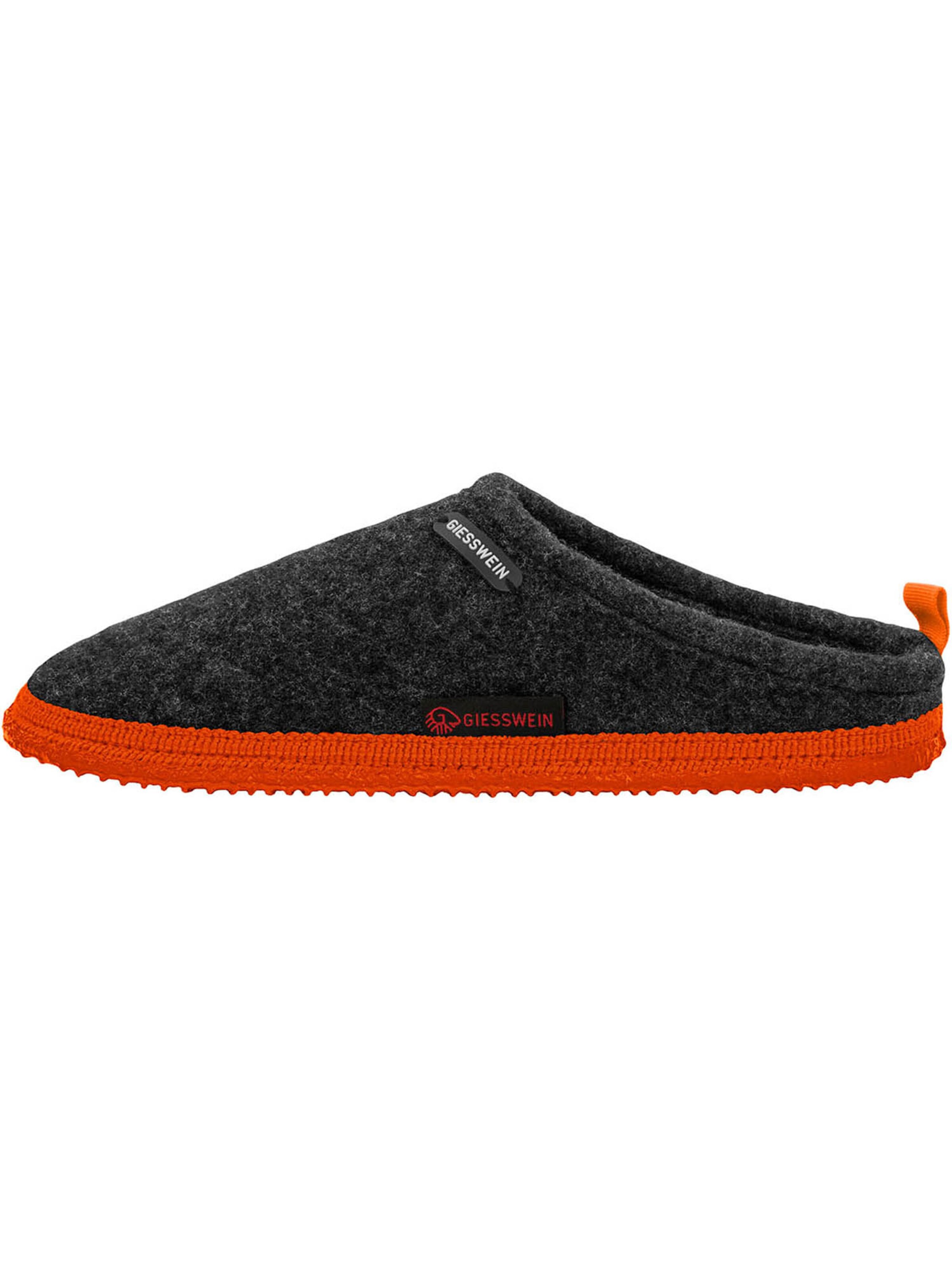 GIESSWEIN Slipper in Grey: front