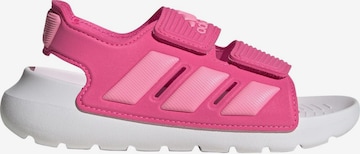 ADIDAS SPORTSWEAR Sandaler 'Altaswim 2.0' i pink