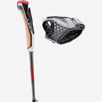 LEKI Stick 'Instructor Lite' in Black