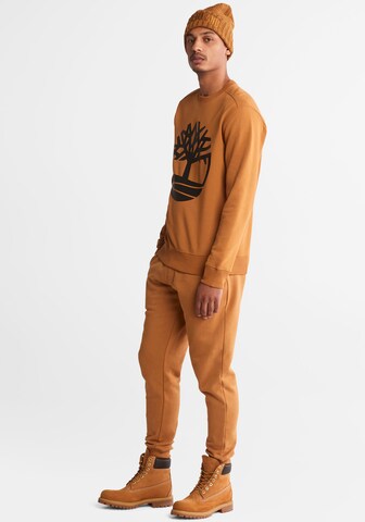 TIMBERLAND Sweatshirt in Orange