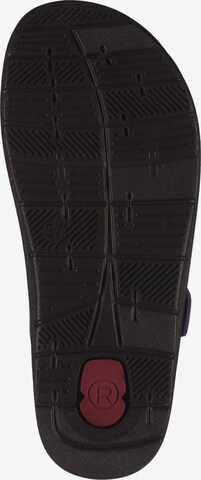 ROHDE T-Bar Sandals in Purple