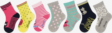 STERNTALER Socks in Mixed colors: front