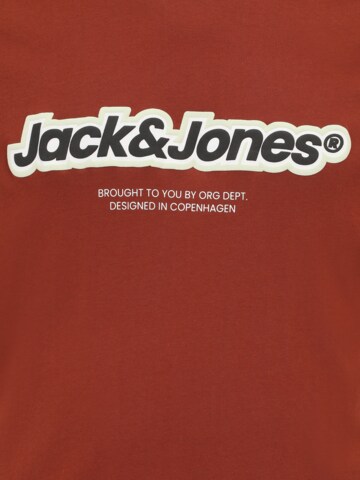 Jack & Jones Plus T-Shirt 'JORVESTERBRO NEWTON' in Braun
