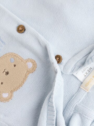 Next Gebreid vest in Blauw