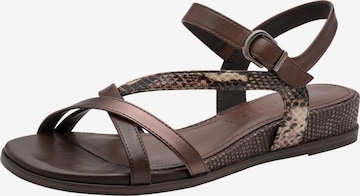 Sandales Tamaris en marron : devant