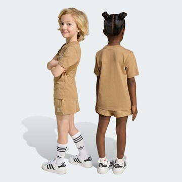 Set ADIDAS ORIGINALS en marron