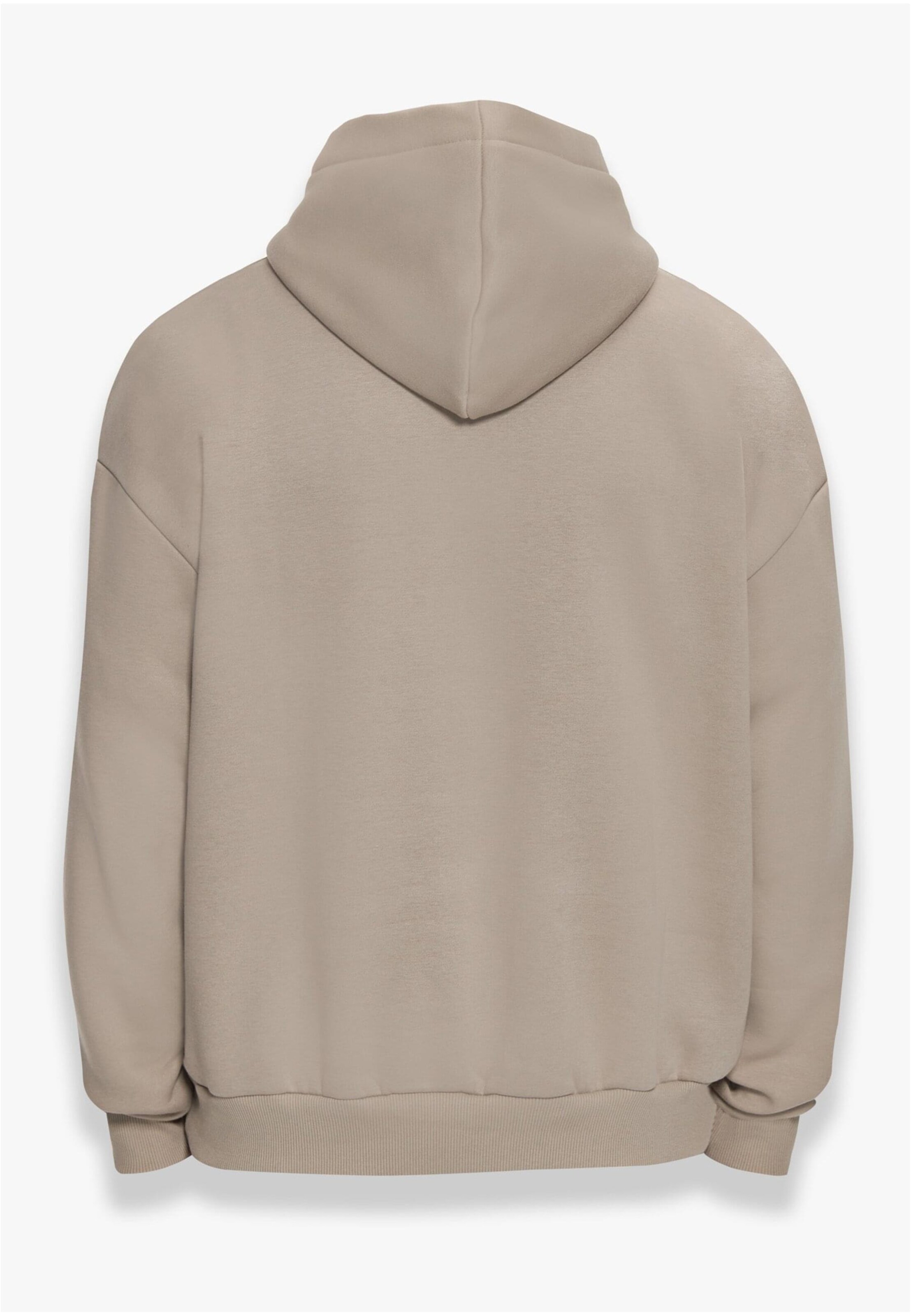 Felpa di Dropsize in grigio