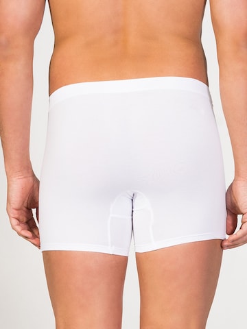 zd ZERO DEFECTS Boxer shorts 'Breno MicroModal® Boxer' in White