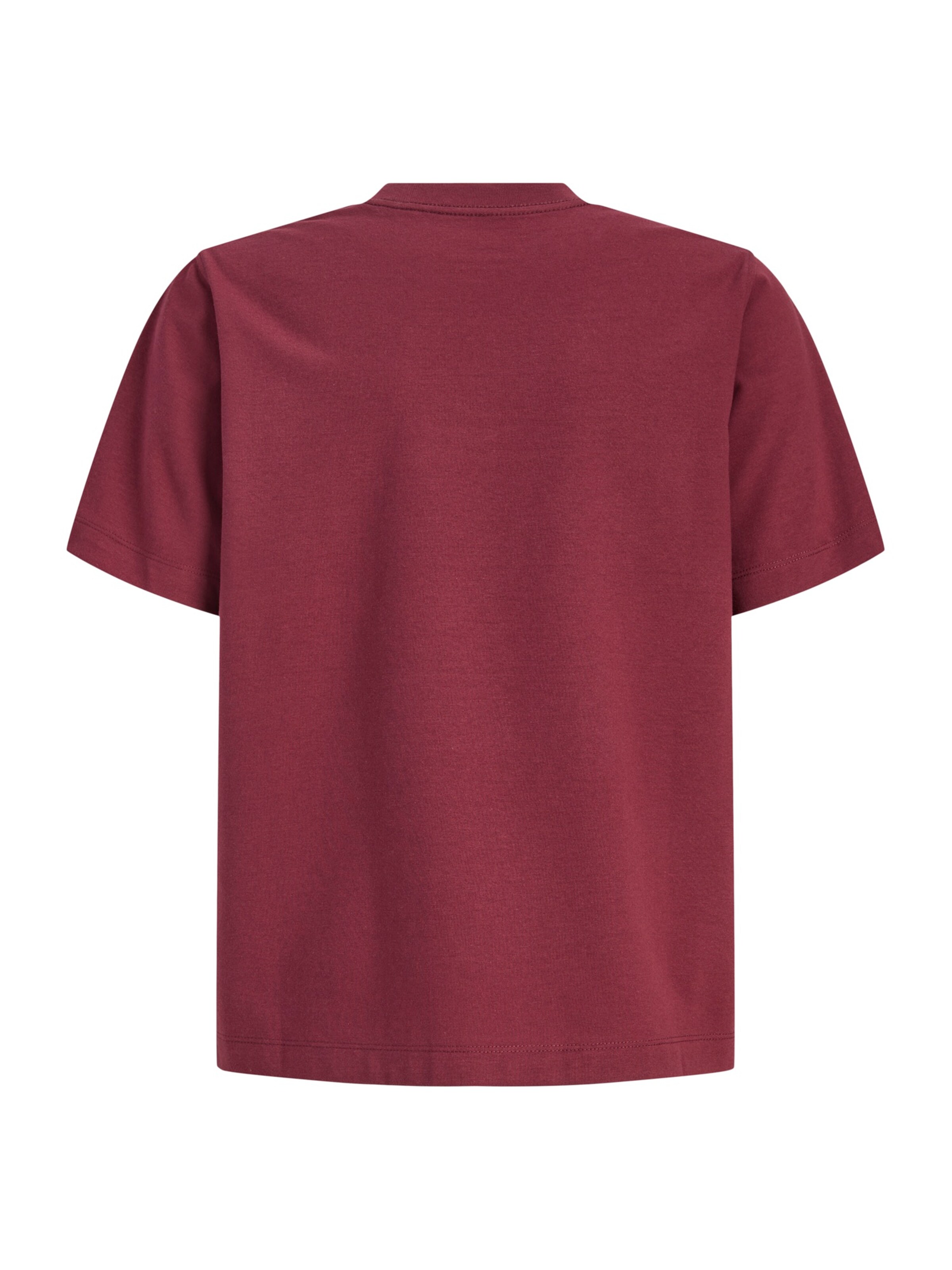 Jack & Jones Junior - Camiseta 'JORTORONTO' en marrón