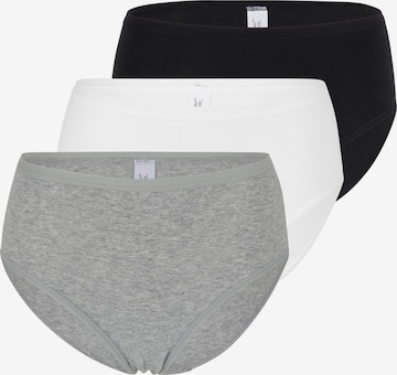 SPEIDEL Slip 'bio.cotton Plus' in Grey: front