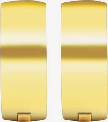 Akzent Earrings 'Gloie, langlebig' in Gold: front