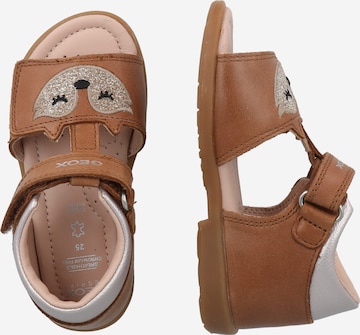 GEOX Sandals 'VERRED' in Brown