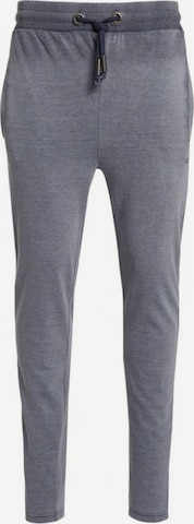 Daily’s Slim fit Pants in Grey: front