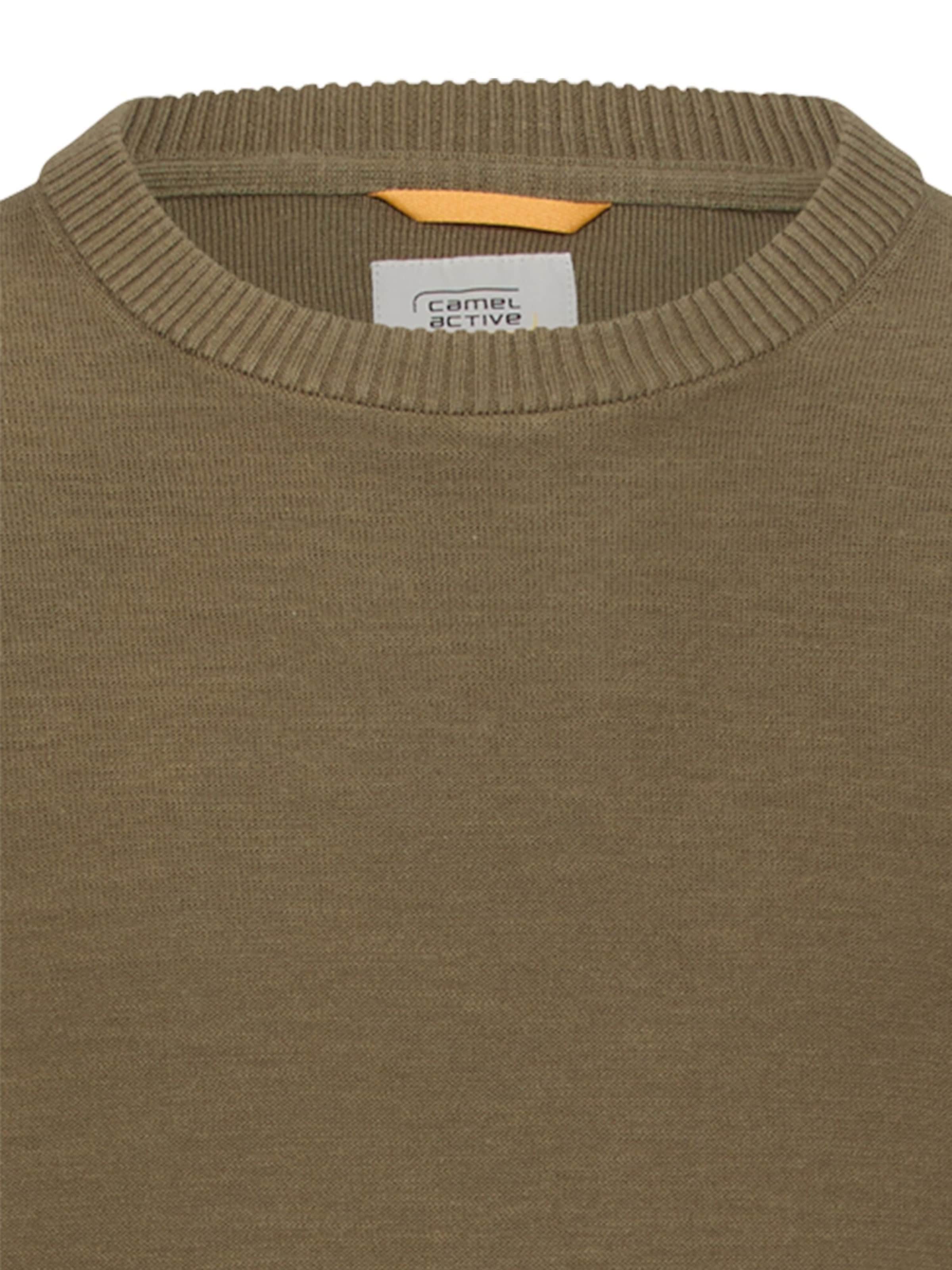 CAMEL ACTIVE Pullover in Grün