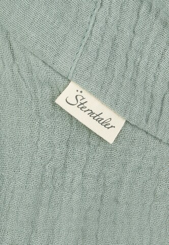 STERNTALER Hat in Green