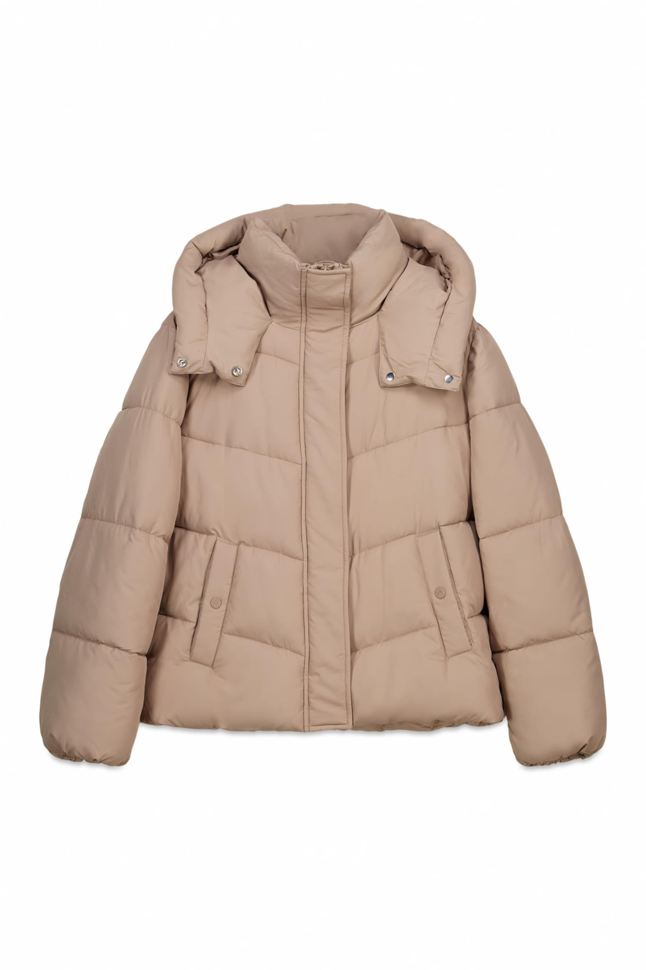 Springfield Winterjas in Beige: voorkant