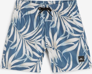 O'NEILL Badeshorts in Blau: Vorderseite