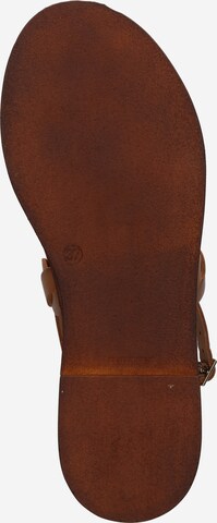 Bata T-Bar Sandals in Brown