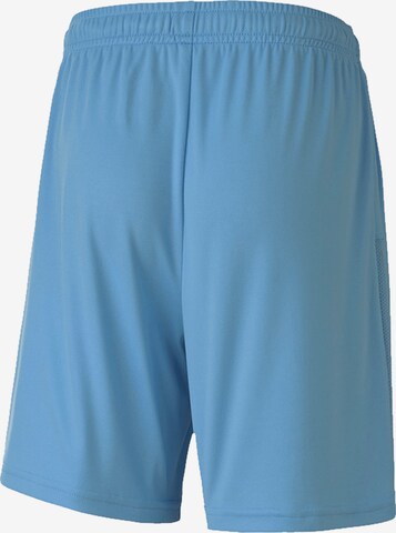 PUMA Regular Workout Pants 'TeamGOAL 23' in Blue