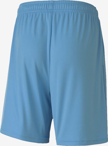 PUMA Regular Sportshorts 'TeamGOAL 23' in Blau