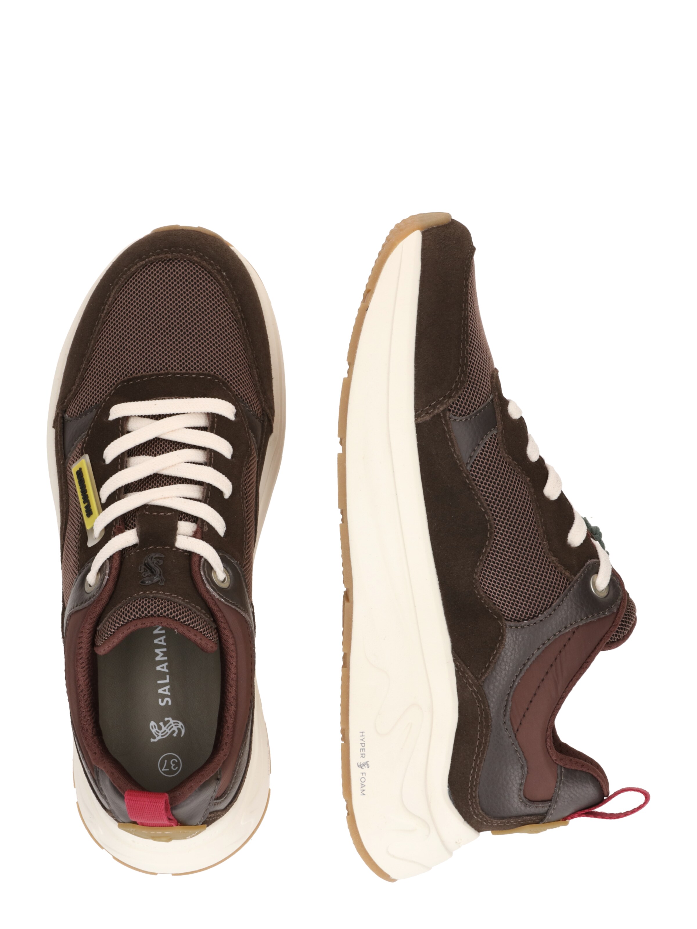 Sneaker bassa di SALAMANDER in marrone