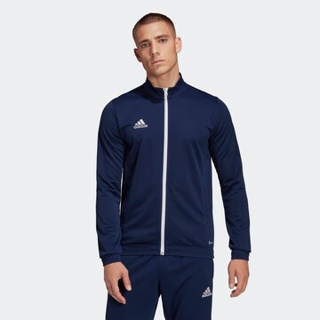 ADIDAS SPORTSWEAR - Chaqueta de chándal 'Entrada 22' en azul: frente