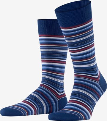 FALKE Socken 'Microblock' in Blau: Vorderseite