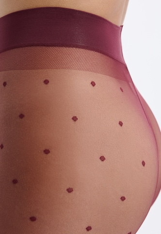 ETAM Feinstrumpfhose 'Plumetis' in Rot