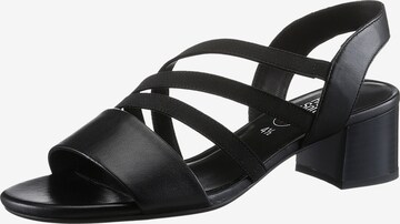 ARA Strap Sandals in Black: front