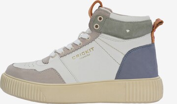 Crickit Sneakers hoog in Gemengde kleuren