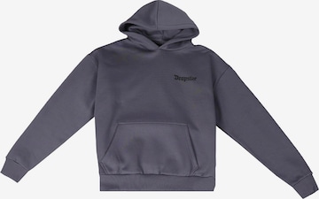 DropsizeSweater majica 'Youth Attack' - siva boja: prednji dio