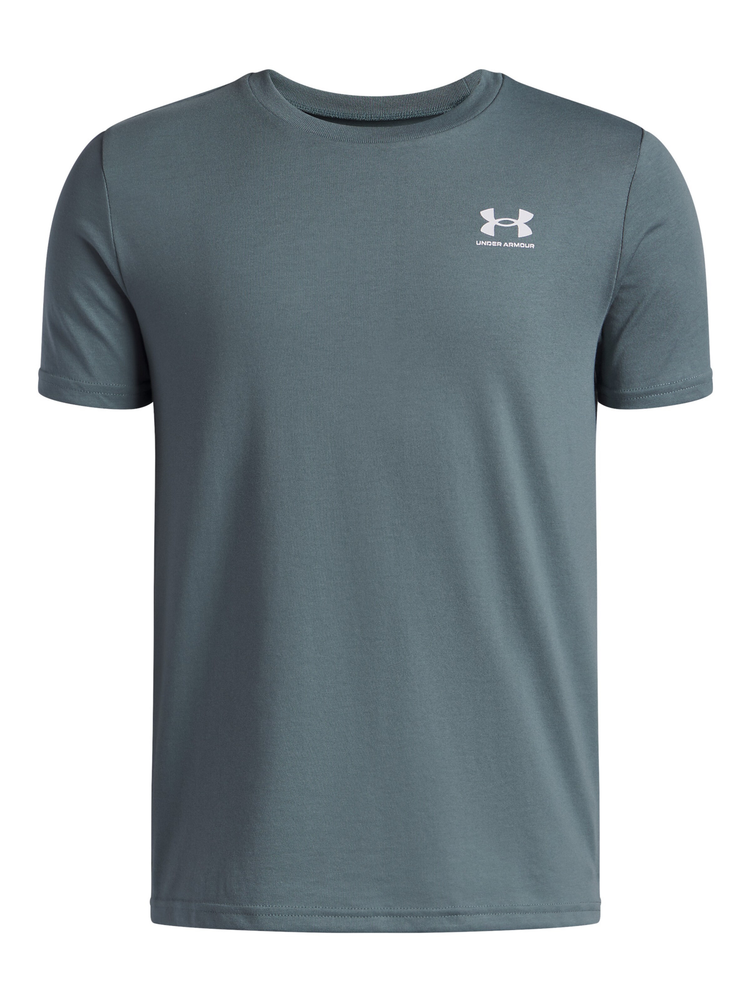 UNDER ARMOUR Performance Shirt in Blue: front