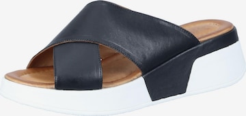 PIAZZA Mules 'Pantoletten' in Black: front
