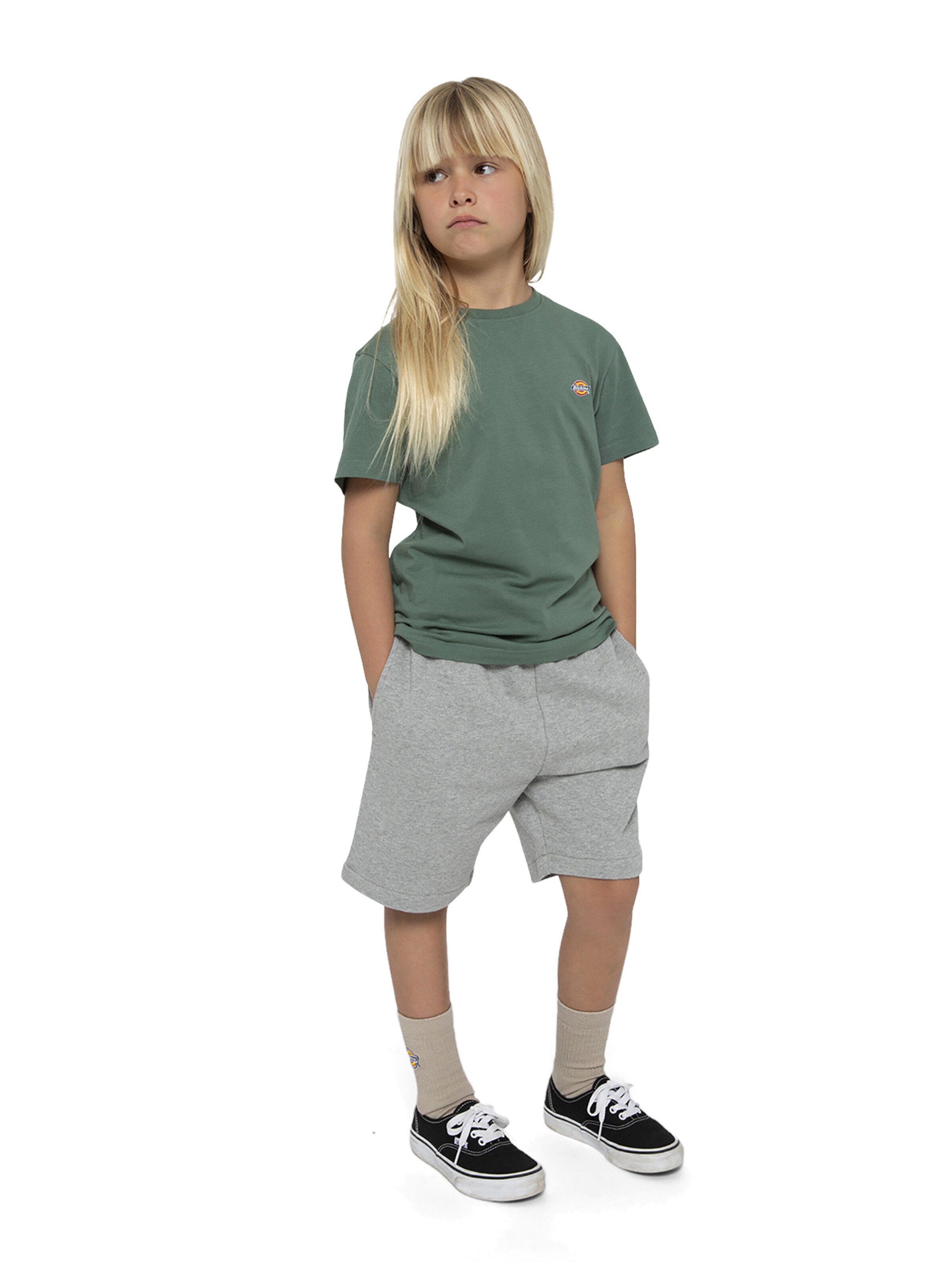 DICKIES - regular Pantalón 'Mapleton' en gris