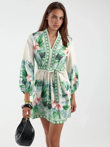 MSN Collection Dress in Green: front