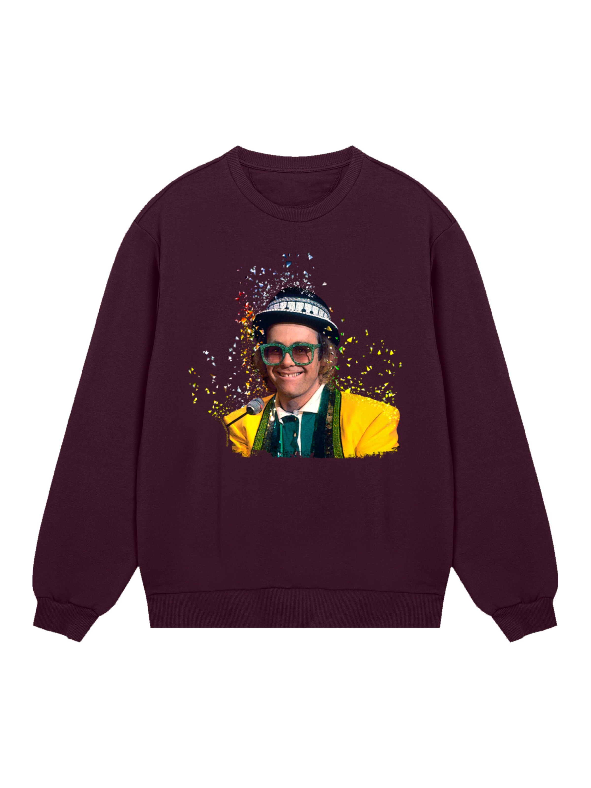 F4NT4STIC Sweatshirt 'TV Times Elton John At The Piano 1977' in Brown: front